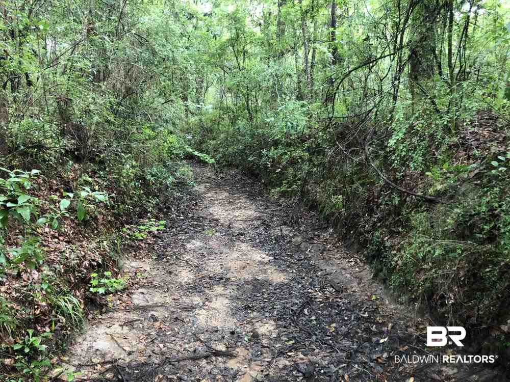 9608 North Bentley Road Creola, AL 36525 - Photo 10 of 14