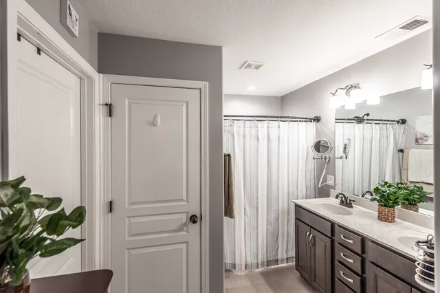 a bathroom with a sink a mirror and a potted plant