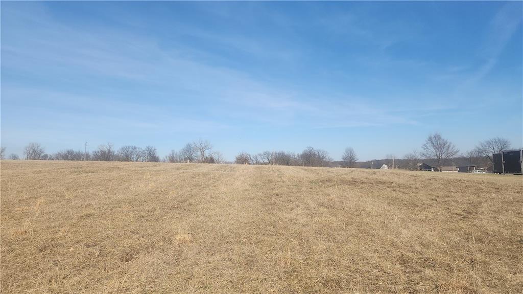 Lot 1569 Fisherman Road Altamont, MO 64620 - Photo 5 of 6