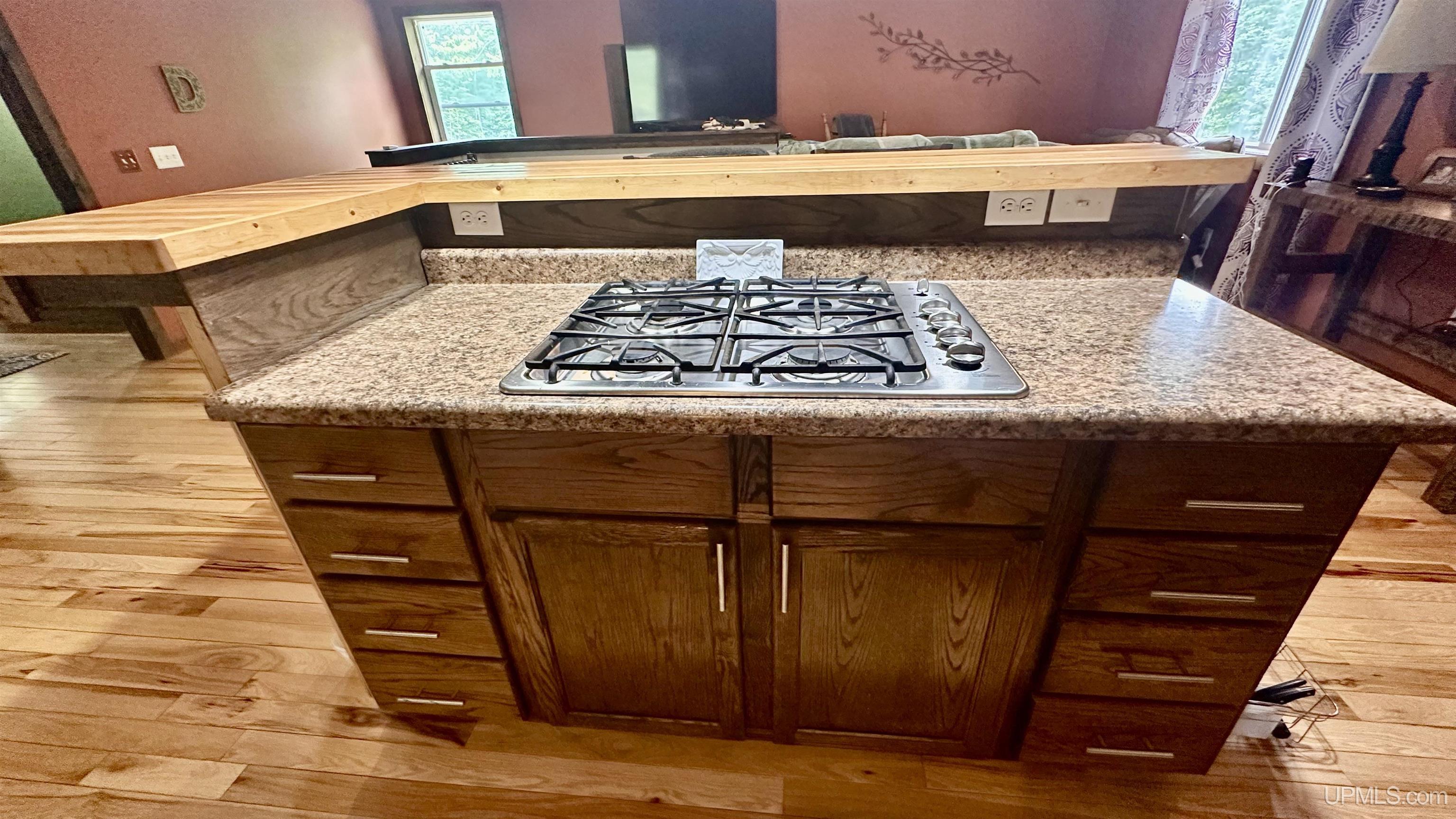 N5232 Dhondt Road Skandia, MI 49885 - Photo 6 of 53