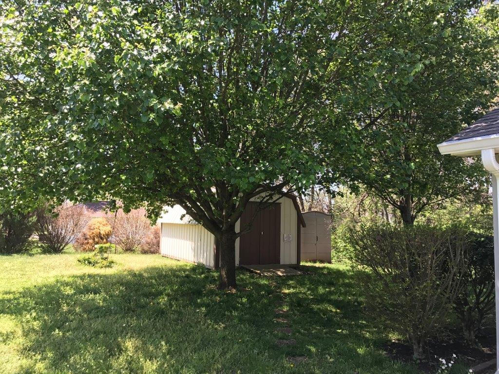 817 Rugby Place Maryville, TN 37804 - Photo 21 of 24 IMG_7866