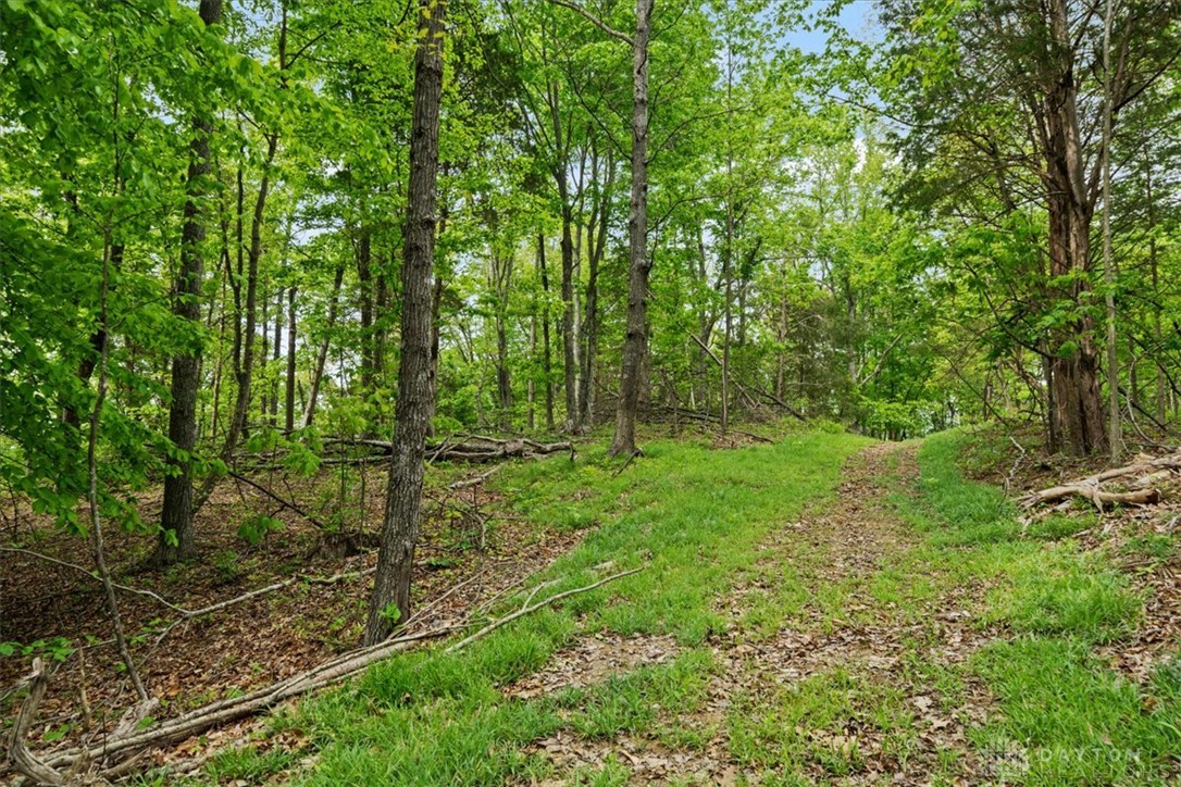 1393 Dutch Thomas Road Peebles, OH 45660 - Photo 44 of 51