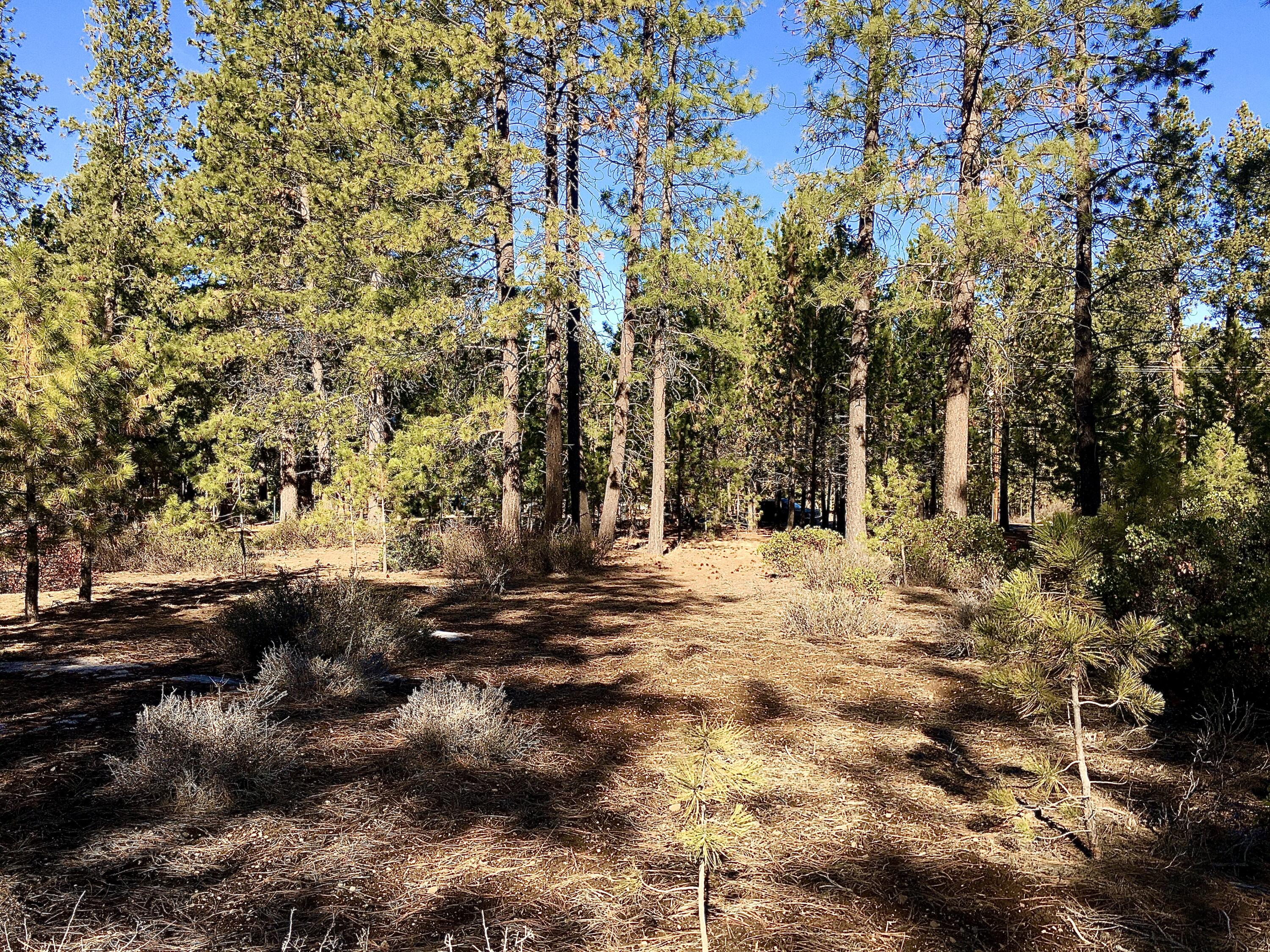 19203 Kiowa Road Bend, OR 97702 - Photo 1 of 4 19203 Kiowa #2