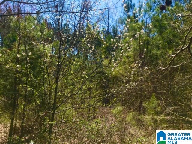 0 Teem Road, Unit 32A Cullman, AL 35057 - Photo 14 of 14