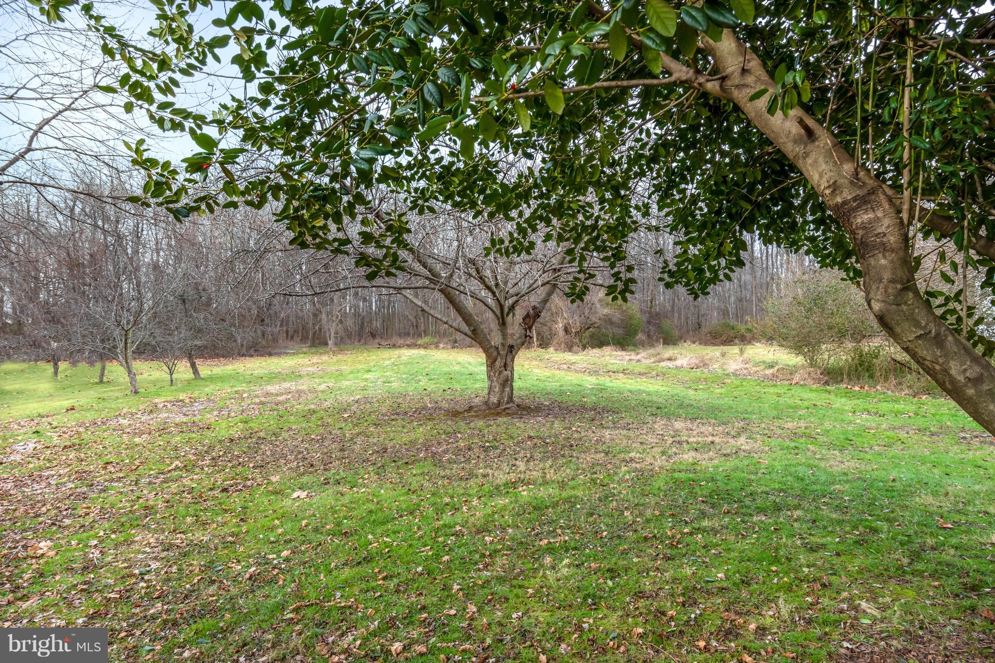 525 Love Point Road Stevensville, MD 21666 - Photo 25 of 30 In Town Home with Large Yard - over 1/2 Acre