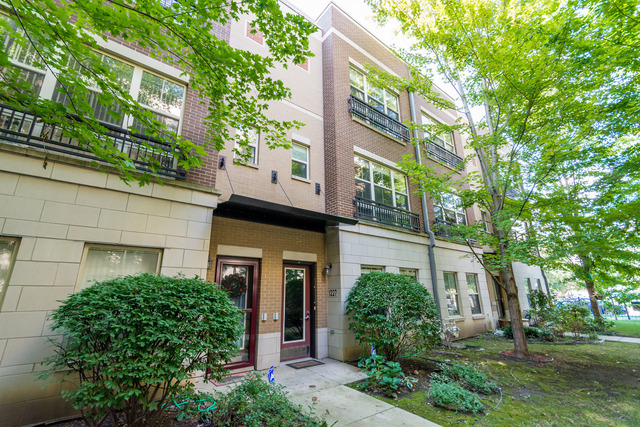 1227 West Arthington Street Chicago, IL 60607 - Photo 1 of 22
