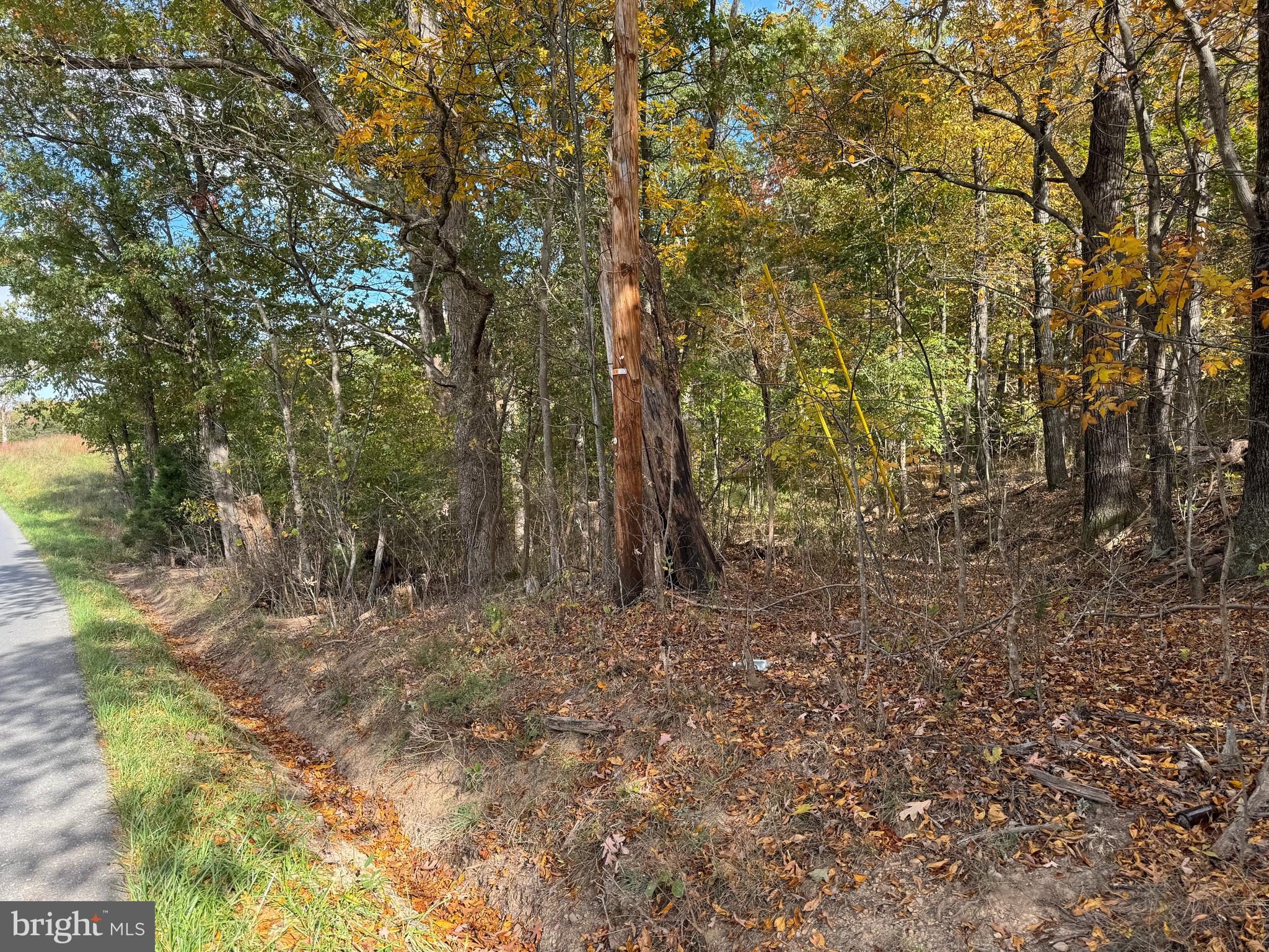 14015 Winchester Grade Road Berkeley Springs, WV 25411 - Photo 3 of 9 Gallery Image 3