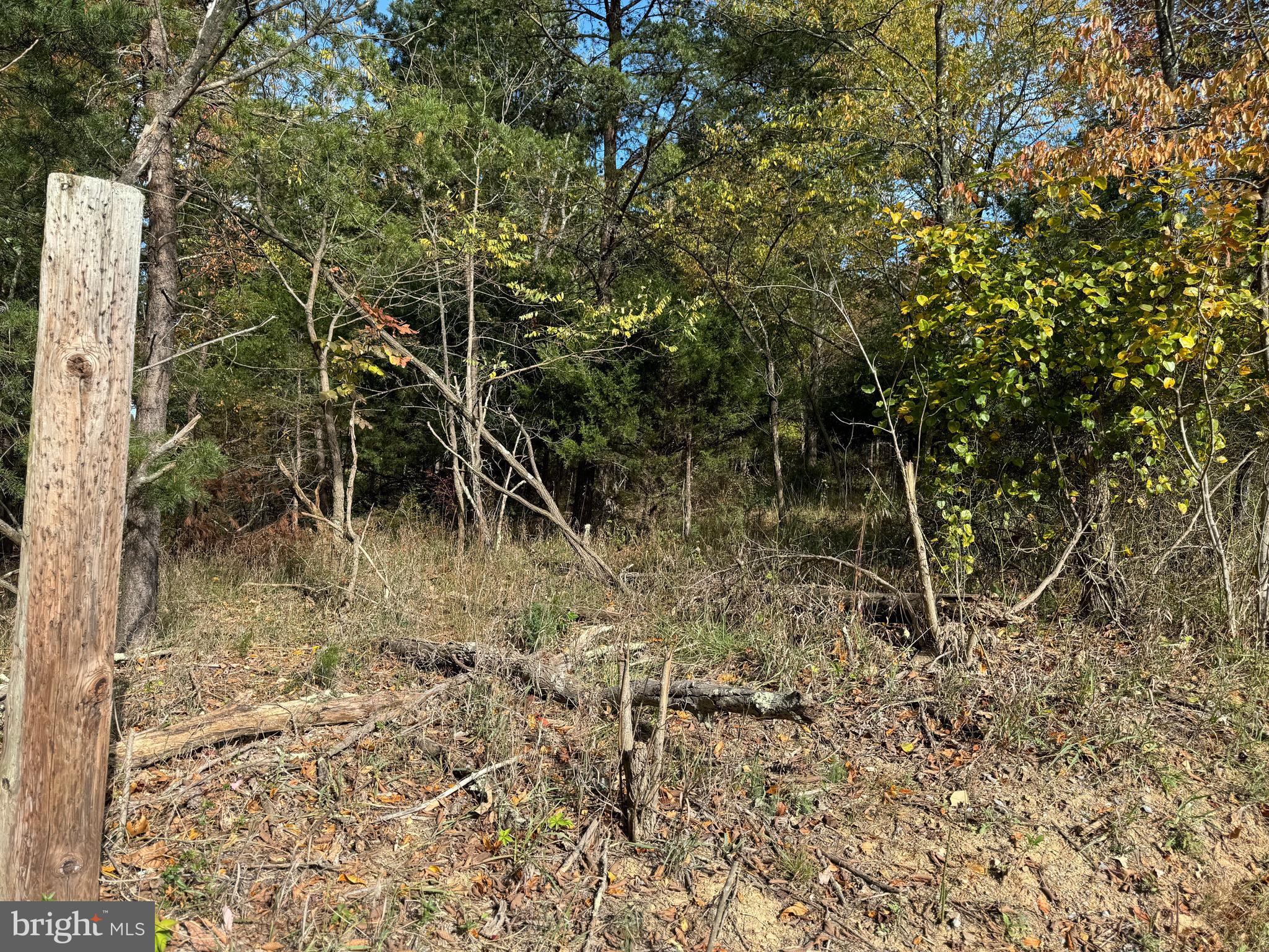 14015 Winchester Grade Road Berkeley Springs, WV 25411 - Photo 6 of 9 Gallery Image 6