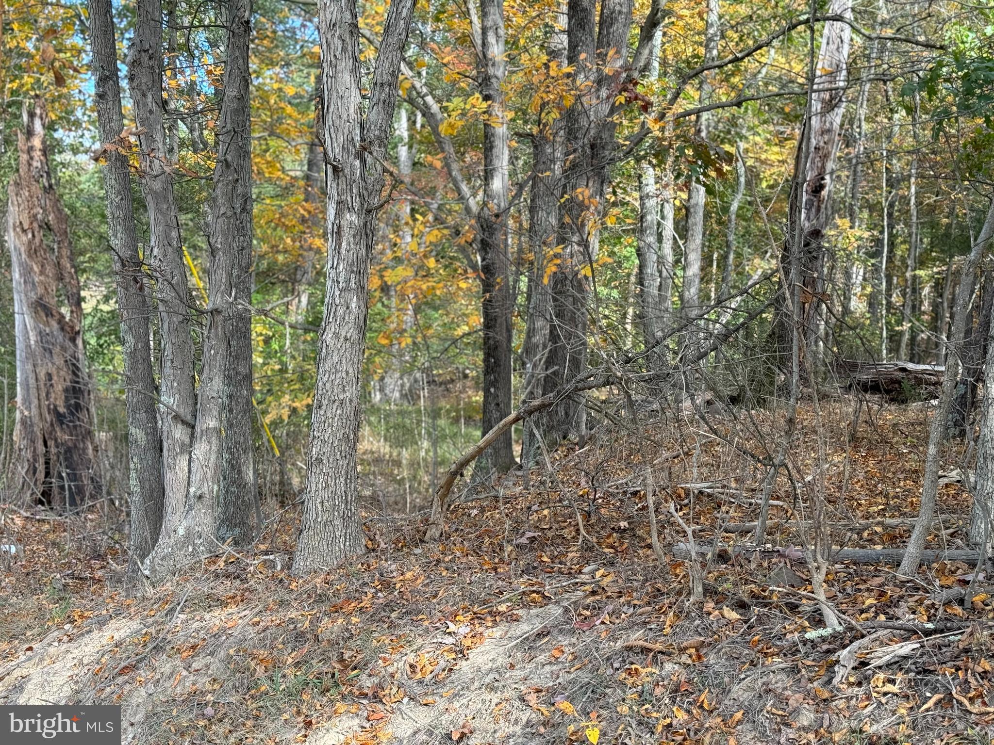 14015 Winchester Grade Road Berkeley Springs, WV 25411 - Photo 8 of 9 Gallery Image 8