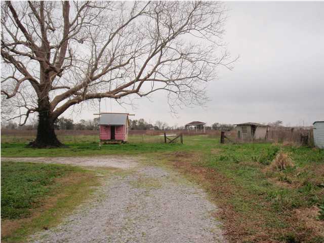 7309 Plum Road Erath, LA 70533 - Photo 11 of 11 Additional Photo