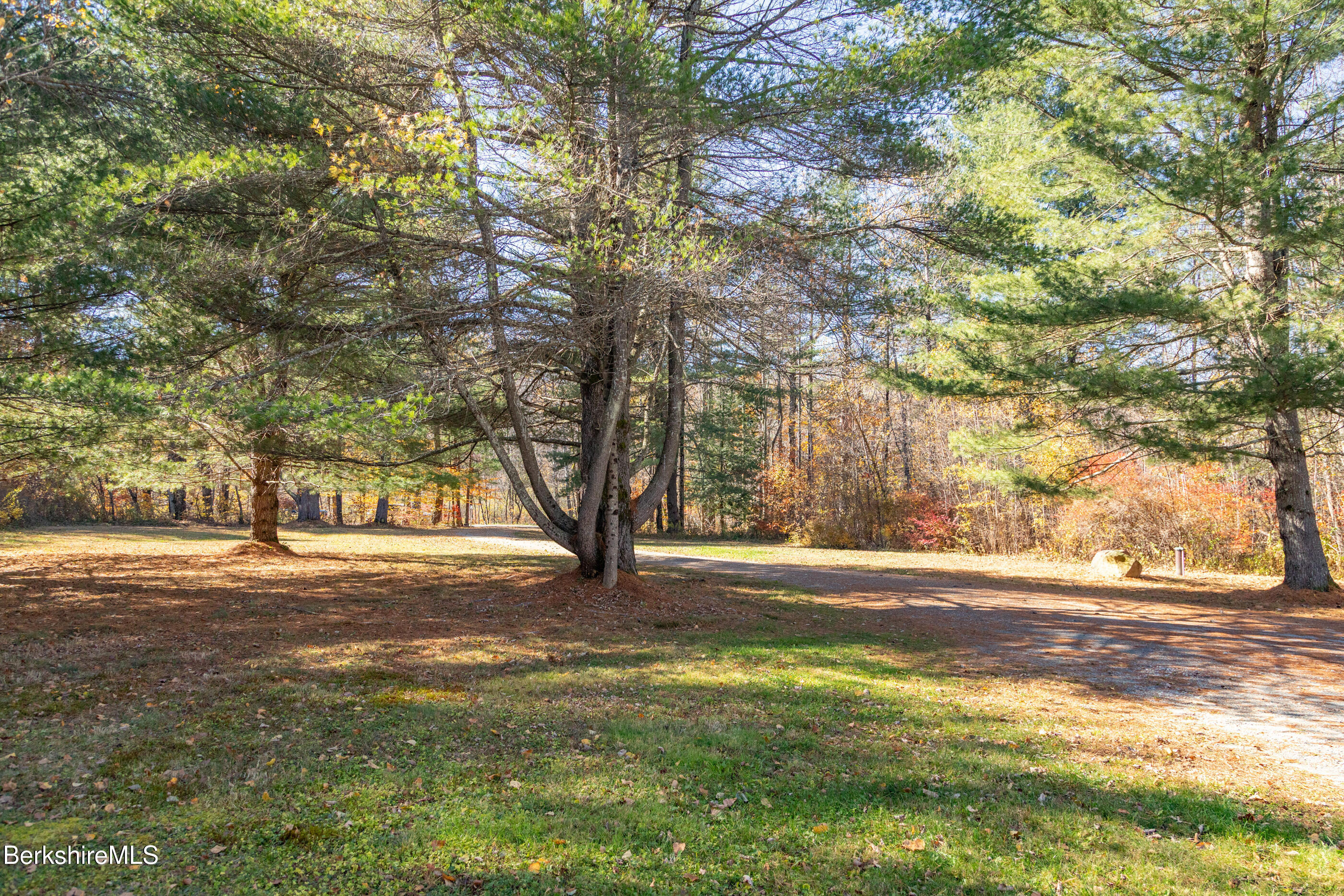 60 Middlefield Road Washington, MA 01223 - Photo 19 of 55 a view of a yard with a tree