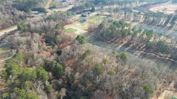 a view of a forest
