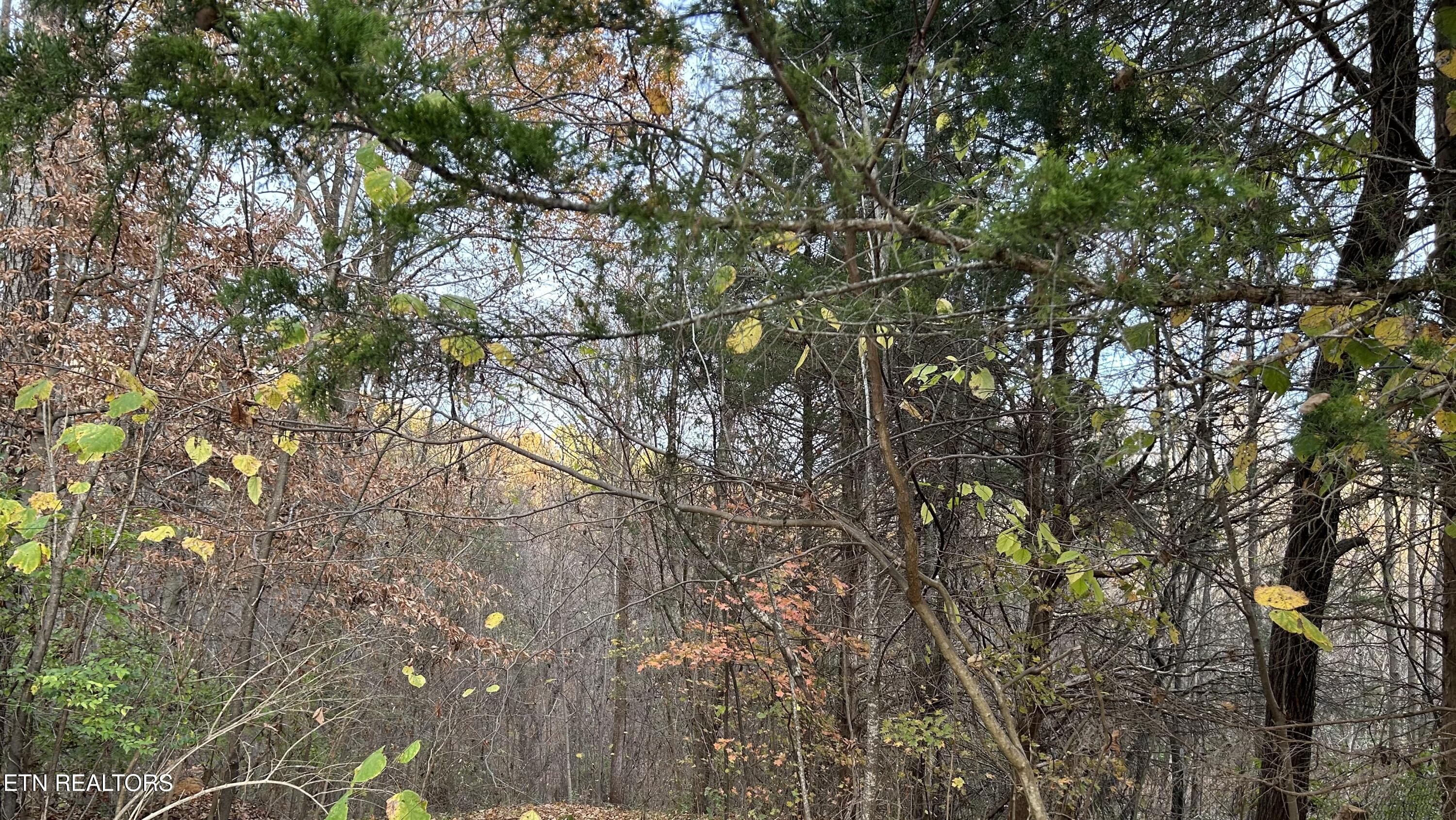 Shady Lane Luttrell, TN 37779 - Photo 1 of 3 IMG_7525