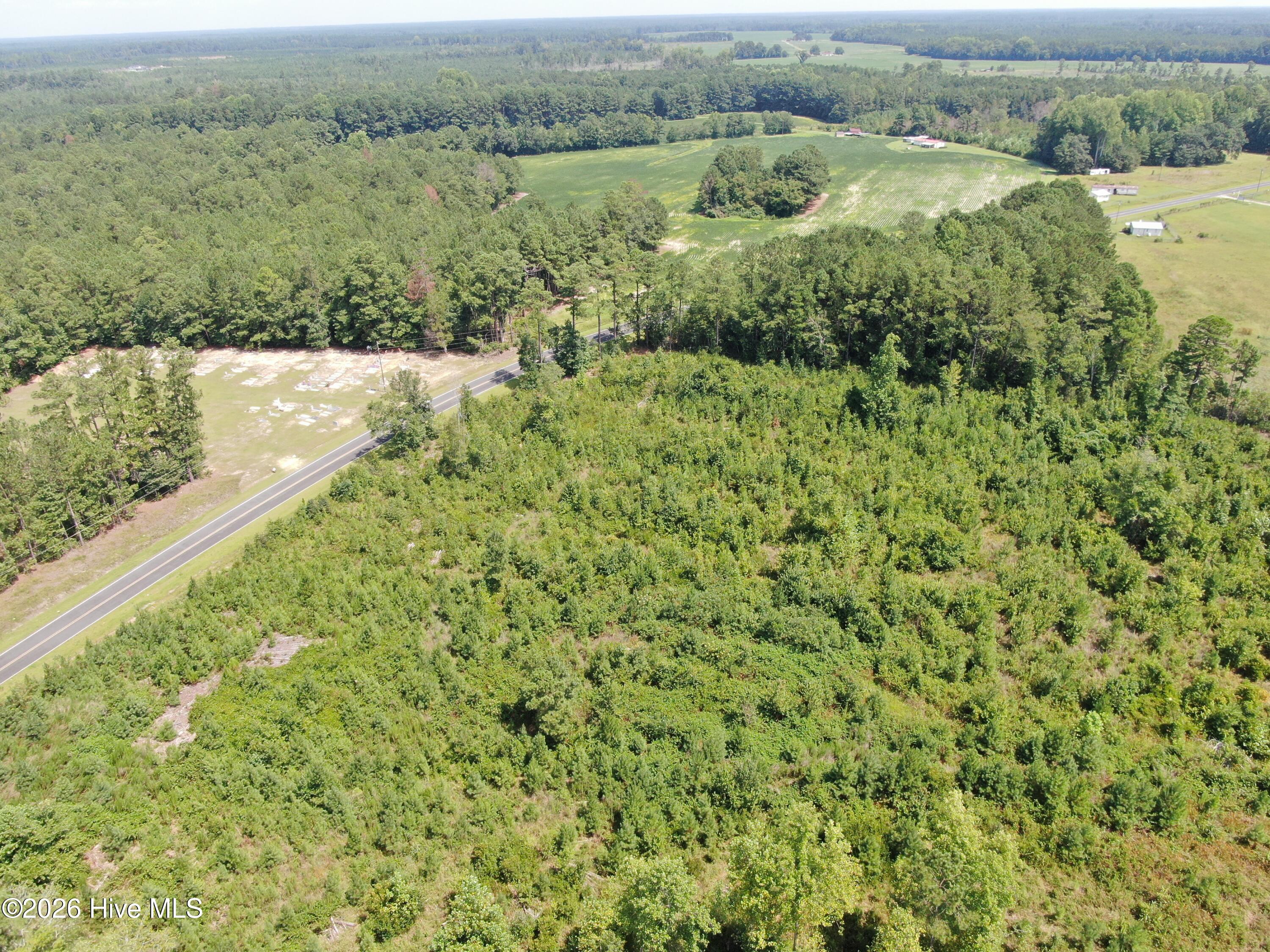 Tbd Sarah Peterson Road Council, NC 28434 - Photo 15 of 18 Gallery Image 15