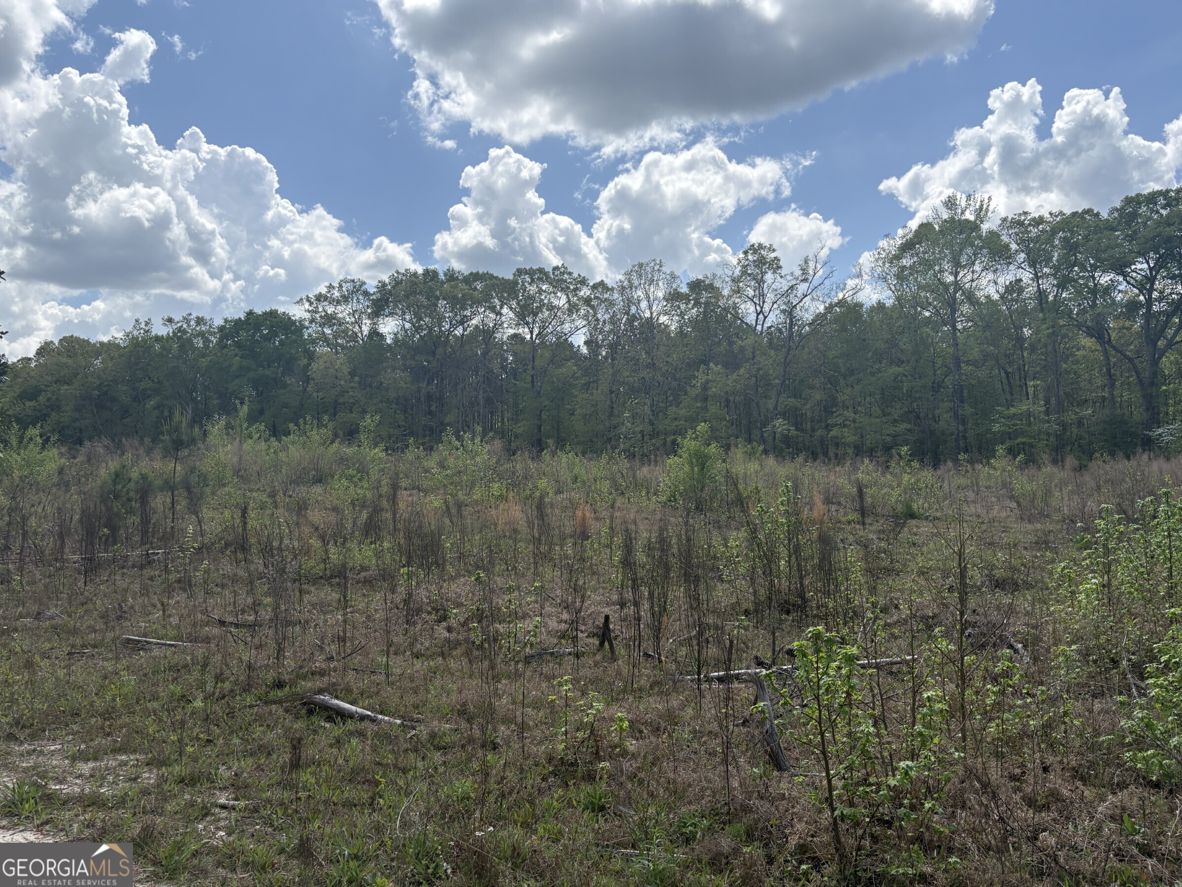 T1 Dc Hardie Road Gordon, GA 31031 - Photo 4 of 9 a view of a lake in middle of forest