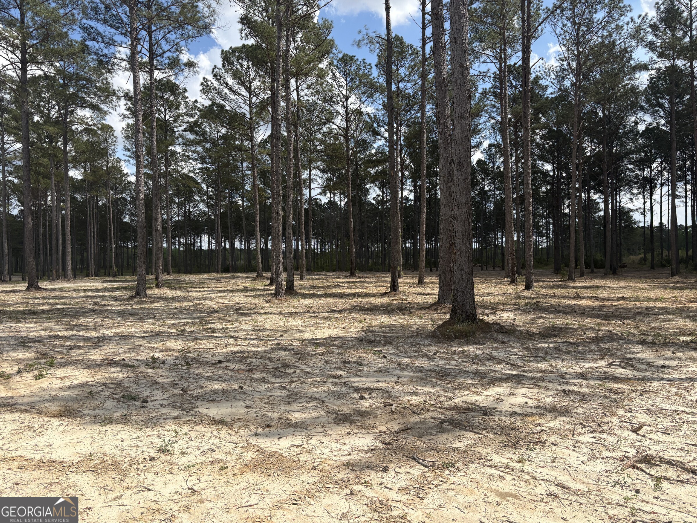 T1 Dc Hardie Road Gordon, GA 31031 - Photo 8 of 9 a park view