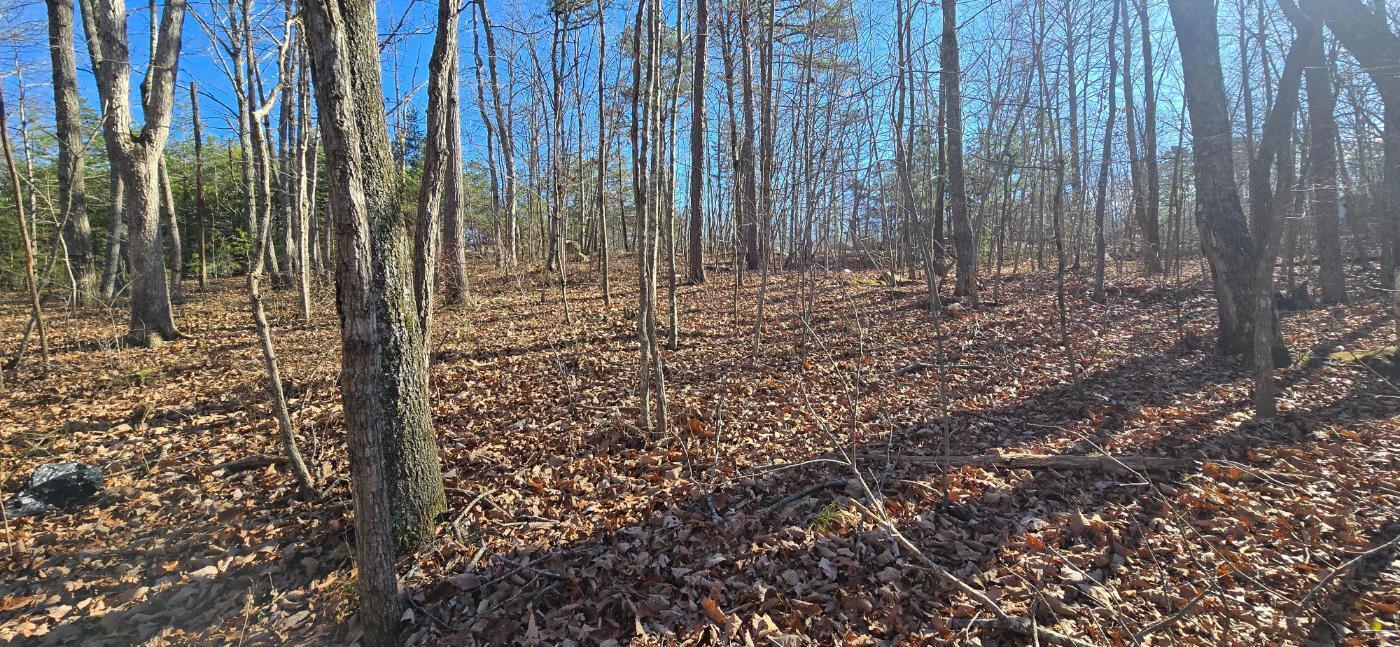 827 Dale Trail Cloudland, GA 30731 - Photo 11 of 47 20251212_131522