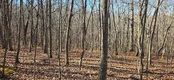 $143,600 | 827 Dale Trail, Cloudland, GA 30731