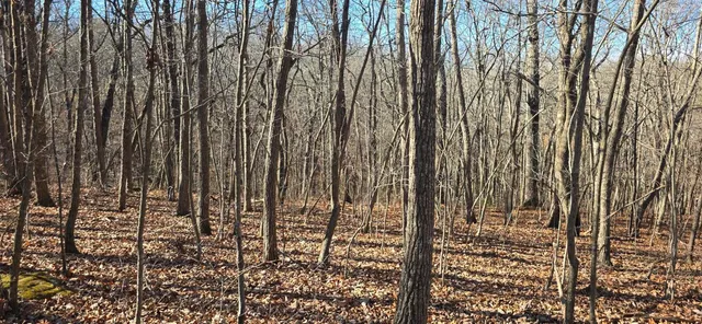 $179,000 | 827 Dale Trail, Cloudland, GA 30731