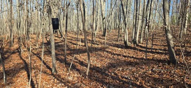 $179,000 | 827 Dale Trail, Cloudland, GA 30731