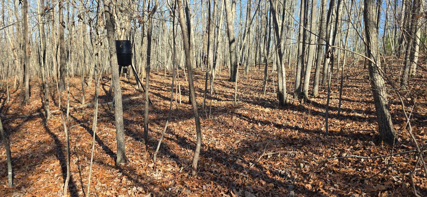 827 Dale Trail Cloudland, GA 30731 - Photo 13 of 47 20251212_131600