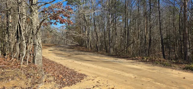 $179,000 | 827 Dale Trail, Cloudland, GA 30731