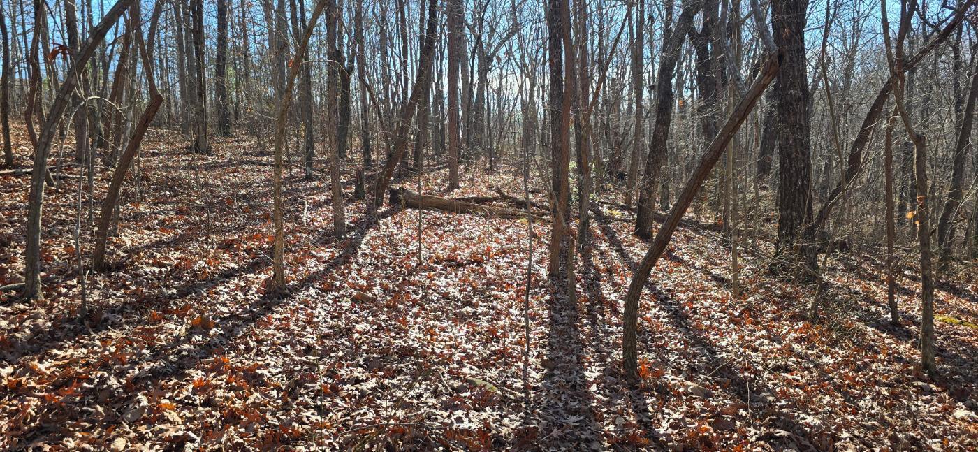 827 Dale Trail Cloudland, GA 30731 - Photo 15 of 47 20251212_131608