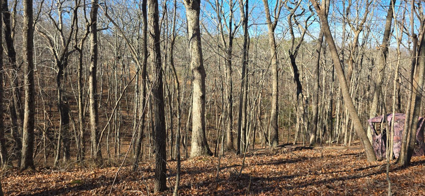 827 Dale Trail Cloudland, GA 30731 - Photo 16 of 47 20251212_131618