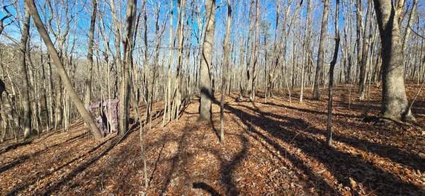 $143,600 | 827 Dale Trail, Cloudland, GA 30731