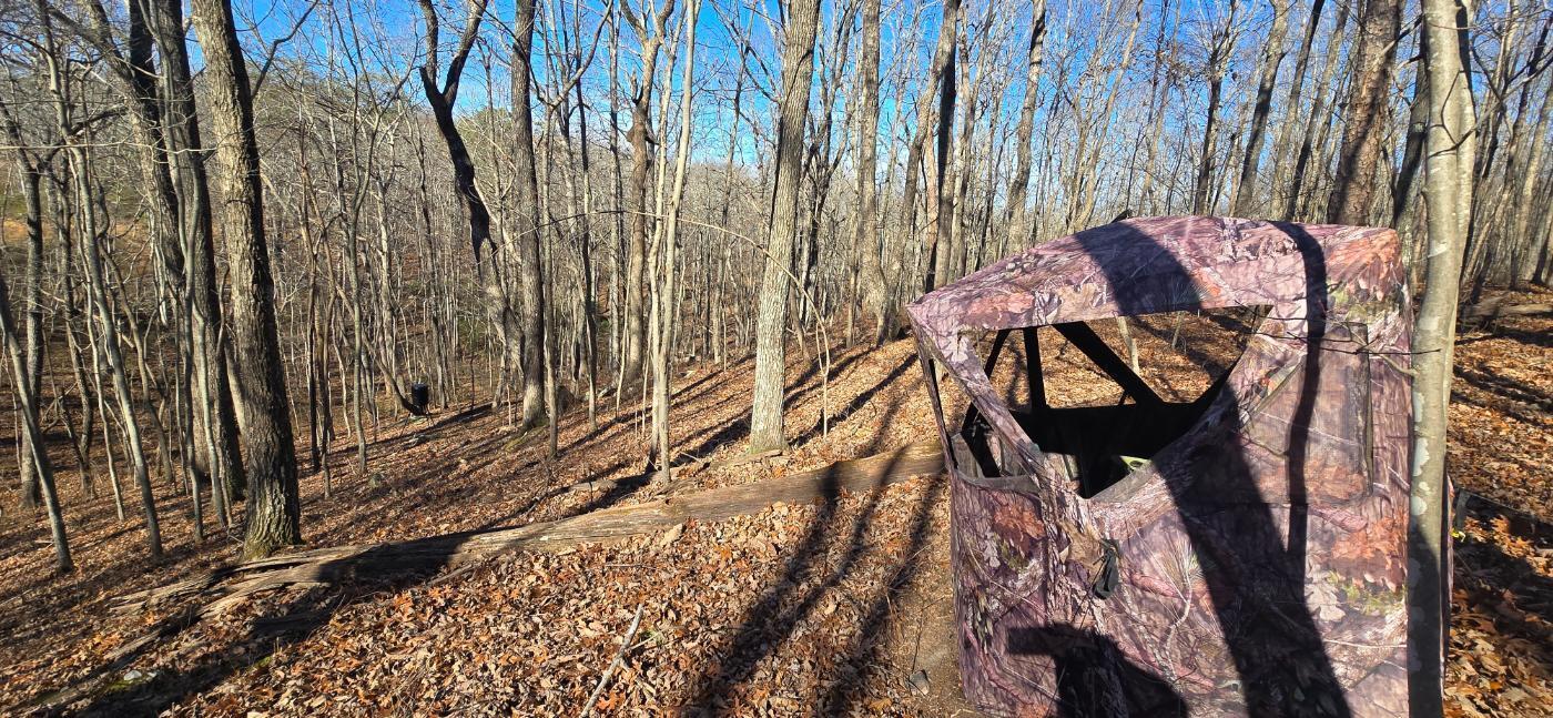 827 Dale Trail Cloudland, GA 30731 - Photo 18 of 47 20251212_131653