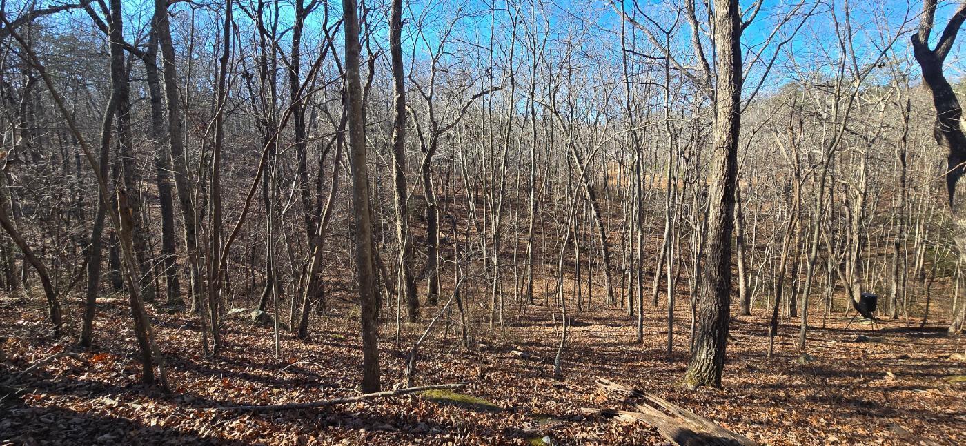 827 Dale Trail Cloudland, GA 30731 - Photo 19 of 47 20251212_131706