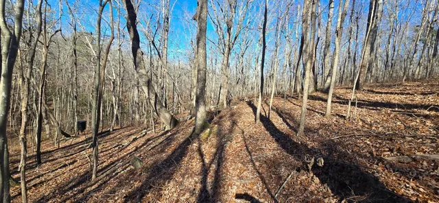 $179,000 | 827 Dale Trail, Cloudland, GA 30731