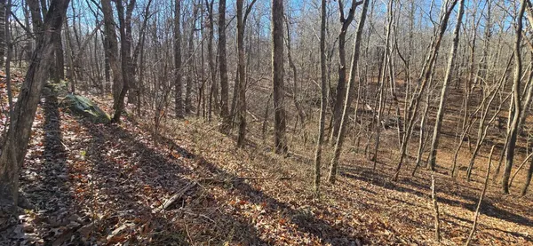 $143,600 | 827 Dale Trail, Cloudland, GA 30731