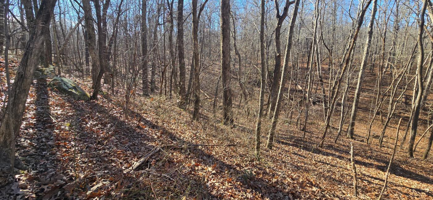 827 Dale Trail Cloudland, GA 30731 - Photo 21 of 47 20251212_131736