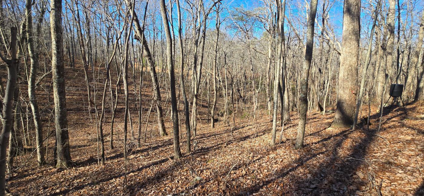 827 Dale Trail Cloudland, GA 30731 - Photo 22 of 47 20251212_131752