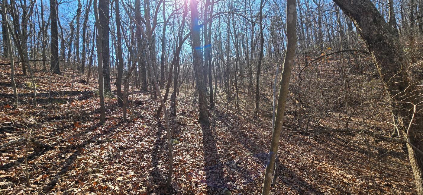 827 Dale Trail Cloudland, GA 30731 - Photo 23 of 47 20251212_131822