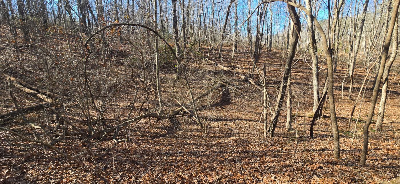 827 Dale Trail Cloudland, GA 30731 - Photo 24 of 47 20251212_131830