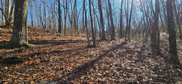 $179,000 | 827 Dale Trail, Cloudland, GA 30731