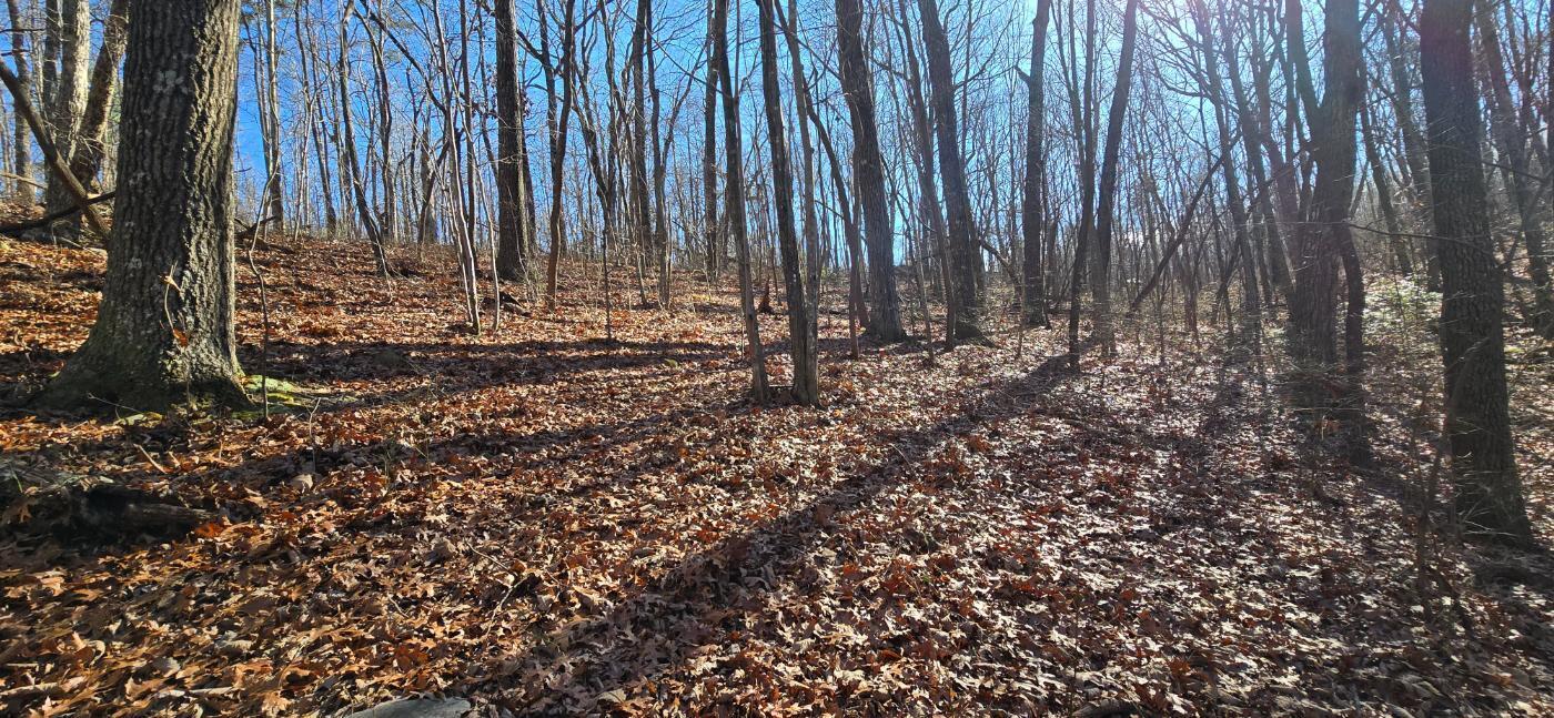 827 Dale Trail Cloudland, GA 30731 - Photo 25 of 47 20251212_131837