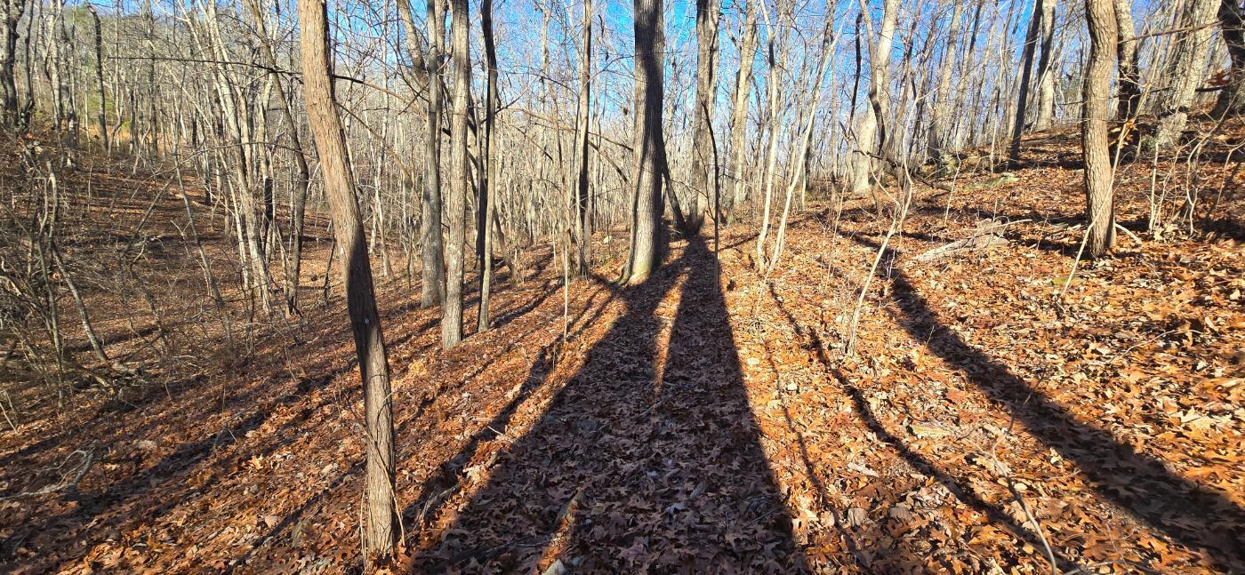 827 Dale Trail Cloudland, GA 30731 - Photo 27 of 47 20251212_131902