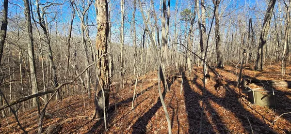 $143,600 | 827 Dale Trail, Cloudland, GA 30731