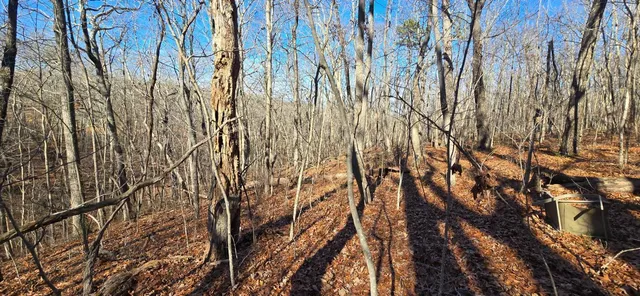 $179,000 | 827 Dale Trail, Cloudland, GA 30731