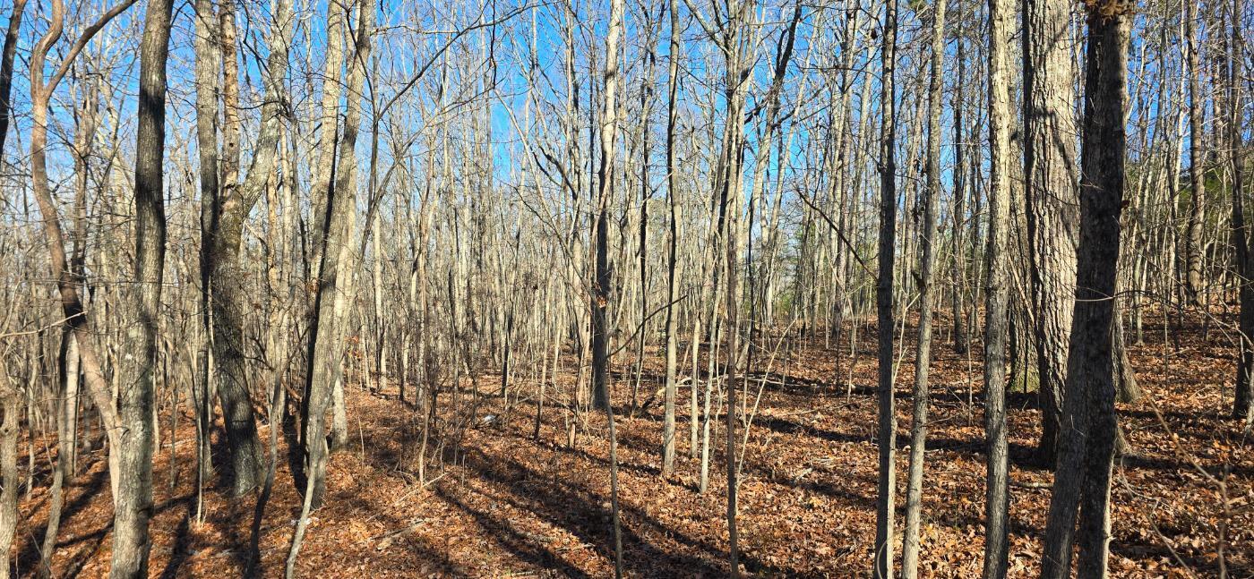 827 Dale Trail Cloudland, GA 30731 - Photo 30 of 47 20251212_132137