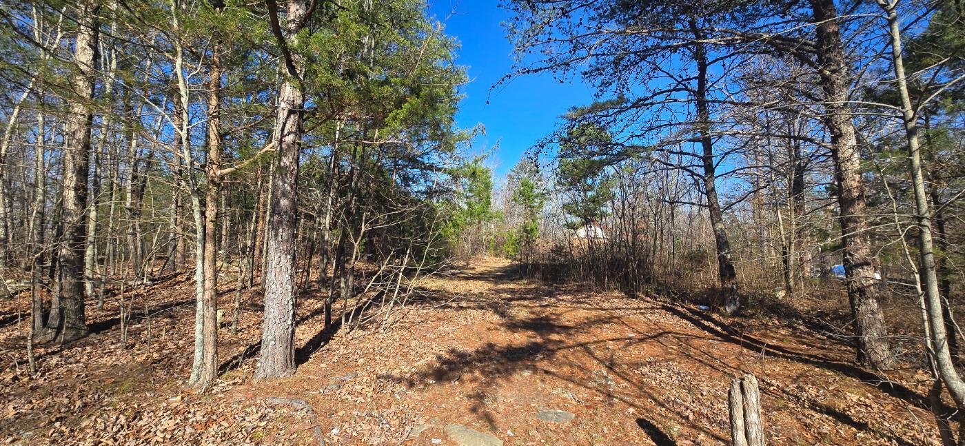 827 Dale Trail Cloudland, GA 30731 - Photo 3 of 47 20251212_131131