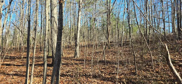 $179,000 | 827 Dale Trail, Cloudland, GA 30731