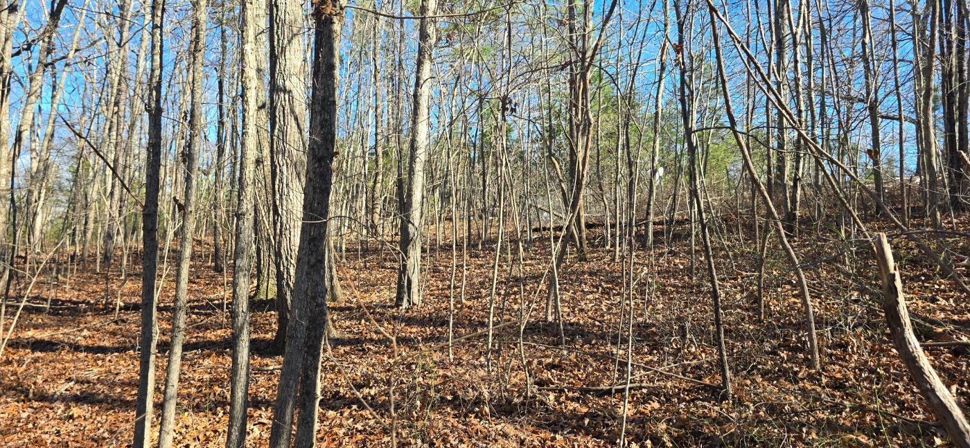 827 Dale Trail Cloudland, GA 30731 - Photo 31 of 47 20251212_132140