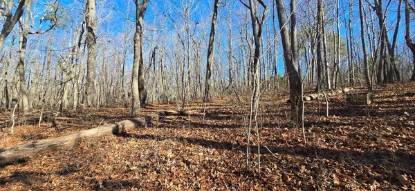 $143,600 | 827 Dale Trail, Cloudland, GA 30731