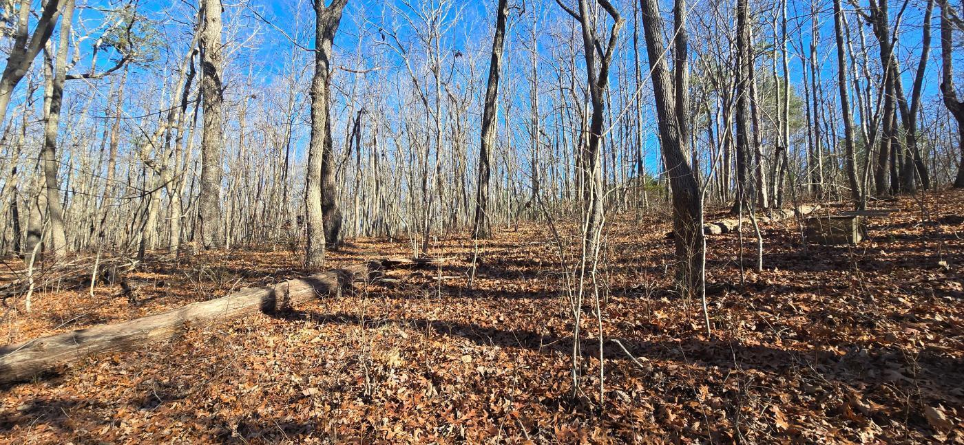 827 Dale Trail Cloudland, GA 30731 - Photo 32 of 47 20251212_131937