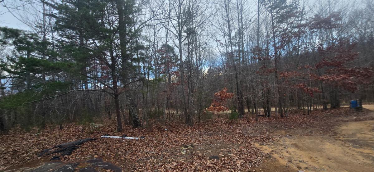 827 Dale Trail Cloudland, GA 30731 - Photo 35 of 47 20251208_165104