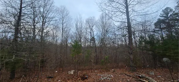 $143,600 | 827 Dale Trail, Cloudland, GA 30731